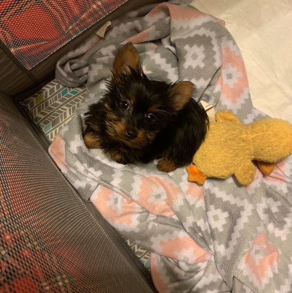 Meet your Posher, Kim - Picture 1 of 1